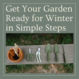Get Your Garden Winter Ready in Simple Steps