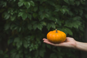 Saving Seeds Series-Fleshy Fruited Plants