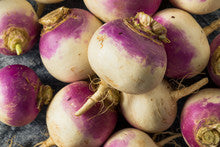 Purple Top Globe Turnip