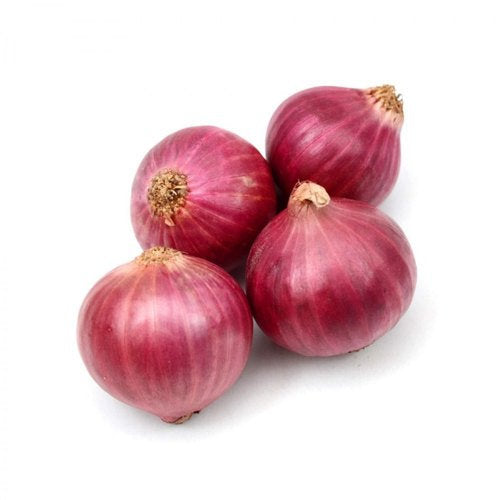 Red Storage onion