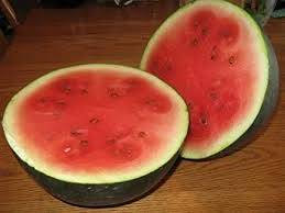 Heirloom sugar watermelon