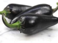 Black heirloom pepper