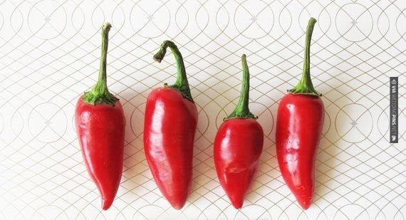 Red Hot Maya Chile Pepper