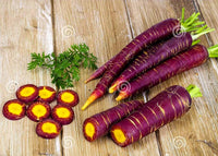 Early Purple Carrots